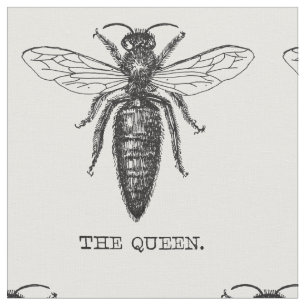 Tela Ilustracion de antigüedades de insectos de Queen B
