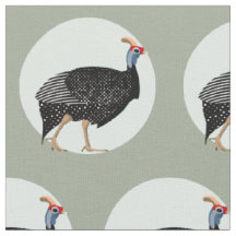 Ilustracion de aves de Guinea