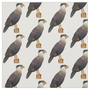 Tela Ilustración de caricatura de ave caracara crestada