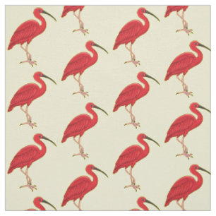 Tela Ilustracion de pájaro ibis de escarlata personaliz