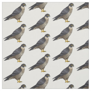 Tela Ilustracion de personalizado de halcón peregrino