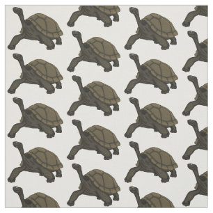 Tela Ilustracion de tortugas terrestres de Galápagos