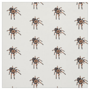 Tela Ilustracion personalizado de Tarantula