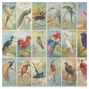 Tela Ilustracion tropical hermoso del siglo XIX de los