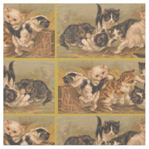 Tela Impresión de gatitos de Victoria