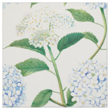 Jardín de Hortensias Azules y Blancas