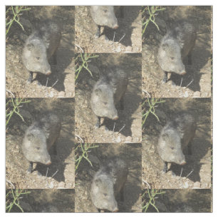 Tela Javelina