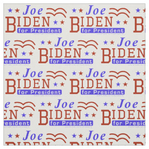 Tela Joe Biden para el modelo demócrata 2020