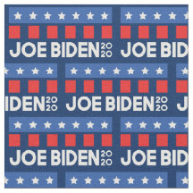 Joe Biden Presidente Elecciones 2020 Estados Unido