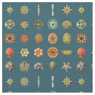 Tela Joyas del océano de Ernst Haeckel