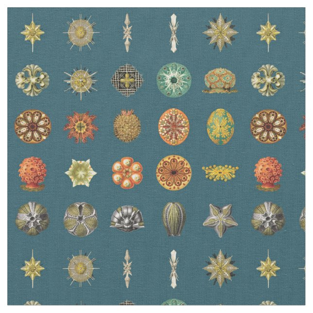 Tela Joyas del océano de Ernst Haeckel (De cerca)