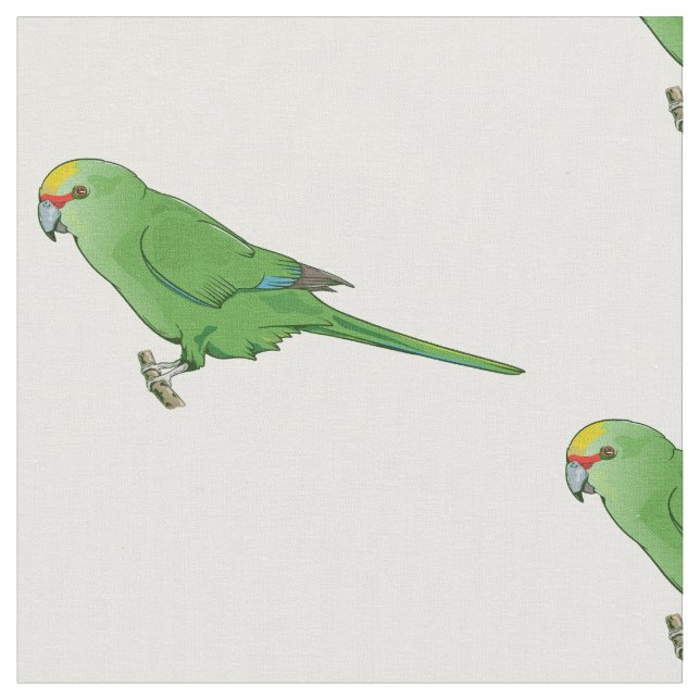 Tela Kakariki de coronación amarilla (De cerca)