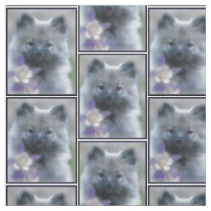 Tela Keeshond y Columbine - Fotografía de perro
