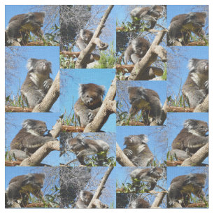 Tela "Koala se pregunta: Un Collage de fotos conmovedor