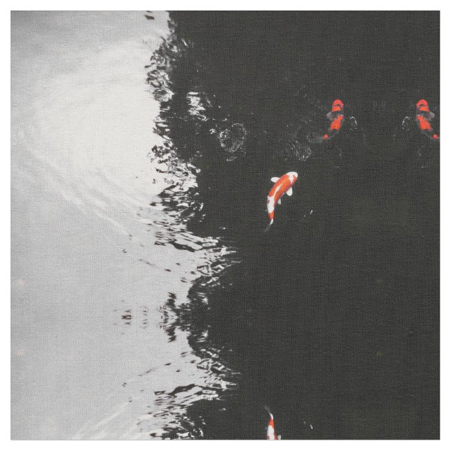 Tela Koi monocromático (De cerca)