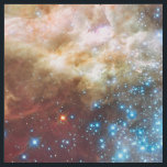 Tela La nebulosa protagoniza el scienc fresco del<br><div class="desc">El rosa de la estrella del inconformista de las estrellas de la nebulosa de la galaxia y la NASA fresca púrpura espacian la tela geeky del friki de la ciencia de la fotografía.</div>