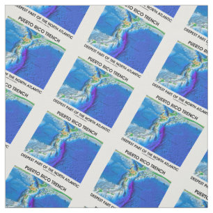 Tela La pieza más profunda del foso de Puerto Rico de