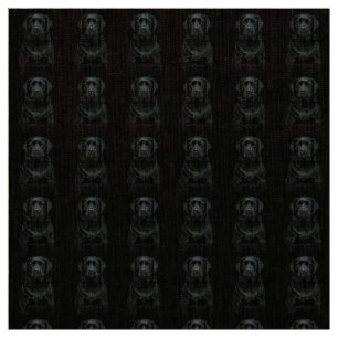 Tela Laboratorio negro