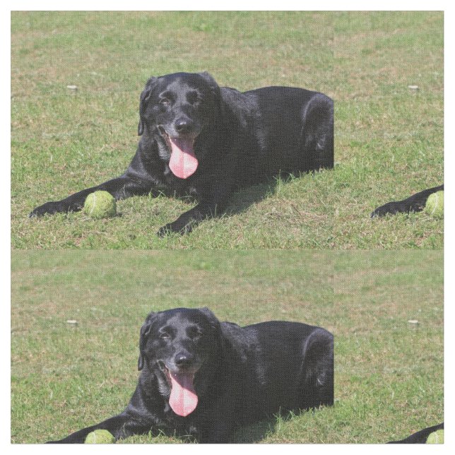Tela laboratorio negro laying.png (De cerca)