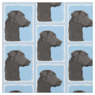 Tela Labrador recuperar pintura negra original de perro