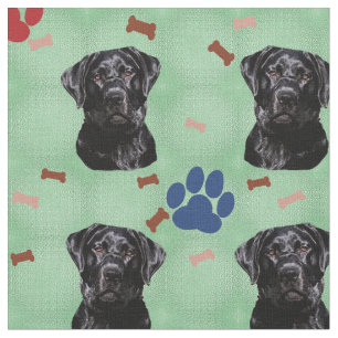 Tela Labrador retriever
