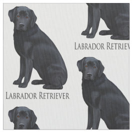 Tela Labrador retriever negro