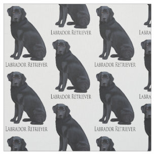 Tela Labrador retriever negro