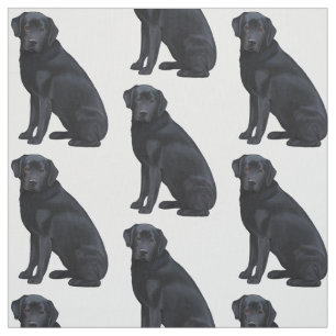 Tela Labrador retriever negro