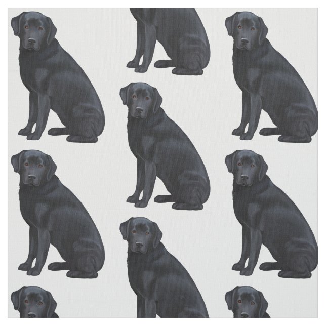 Tela Labrador retriever negro (Retal)