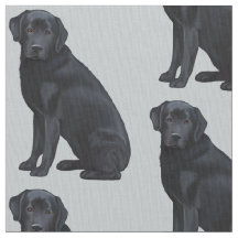 Labrador retriever negro