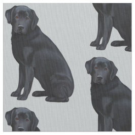 Tela Labrador retriever negro