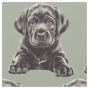 Tela Labrador Retriever negro