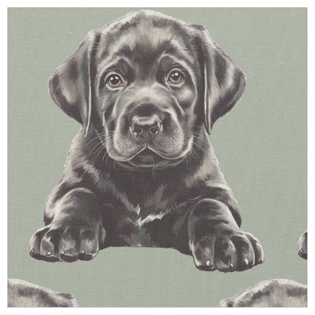 Tela Labrador Retriever negro (De cerca)
