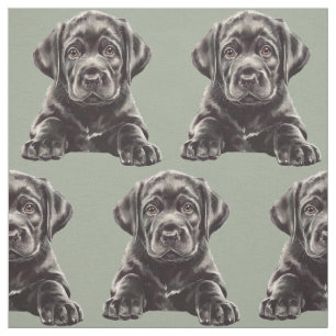 Tela Labrador Retriever negro