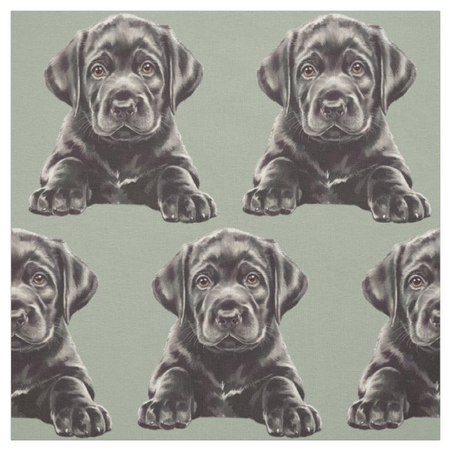 Tela Labrador Retriever negro (Retal)