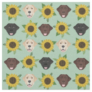 Tela Labrador se enfrenta a la menta de los girasoles