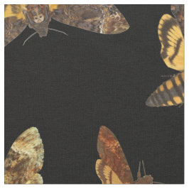 Tela Lachesis del Acherontia - Muerte-cabeza Hawkmoth