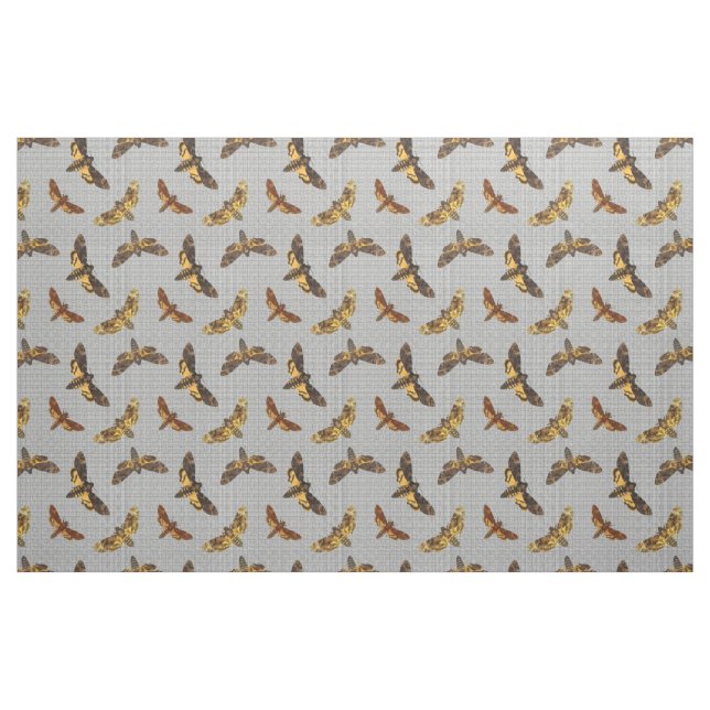 Tela Lachesis del Acherontia - Muerte-cabeza Hawkmoth (Yarda)