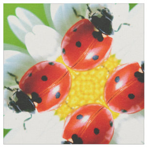 Tela Ladybugs Art 1