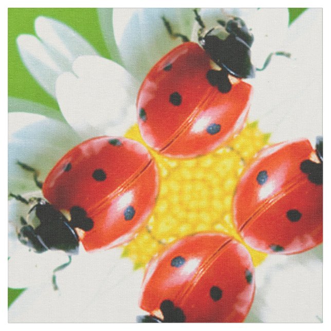 Tela Ladybugs Art 1 (De cerca)