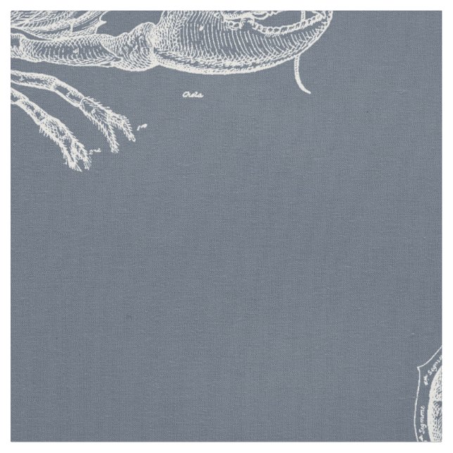 Tela Langosta (De cerca)