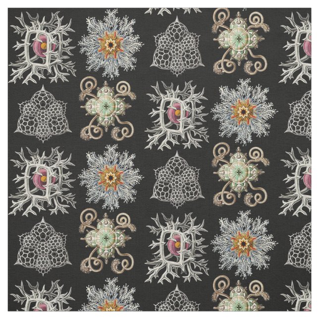 Tela Las formas sofisticadas de la naturaleza (Retal)