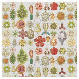 Tela Las maravillas oceánicas de Ernst Haeckel