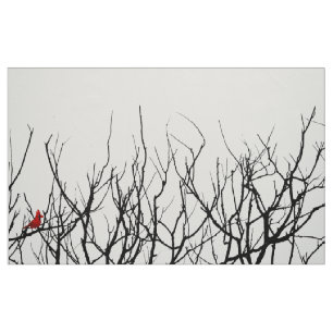 Tela Las pimientas de Leslie del ~ del pájaro del rojo