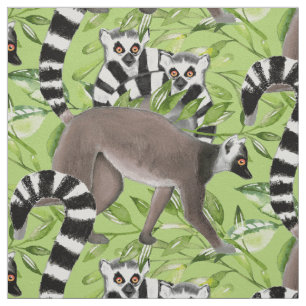 Tela Lemures de Madagascar