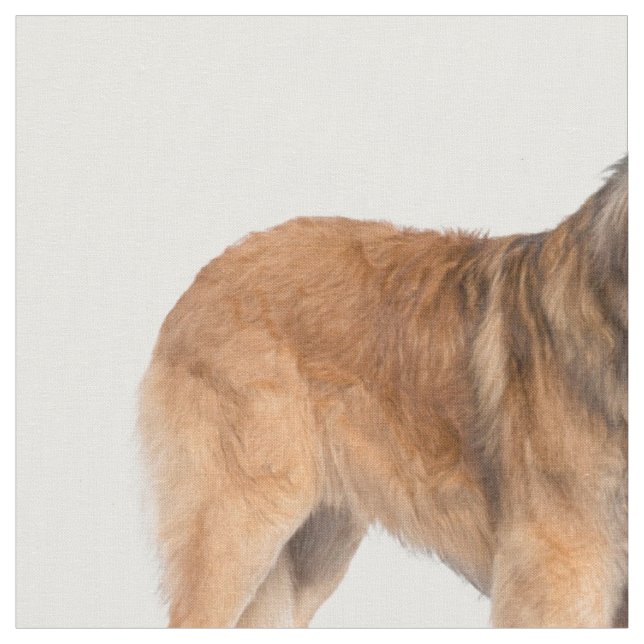 Tela Leonberger (De cerca)