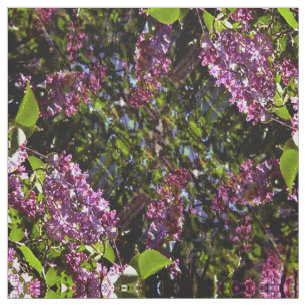 Tela Lilas en la pared...