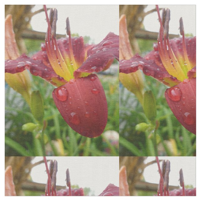Tela Lily (De cerca)