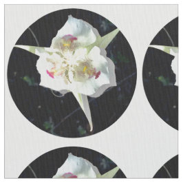 Tela Lily Dot