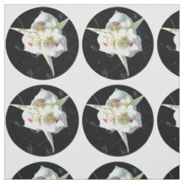 Tela Lily Dot